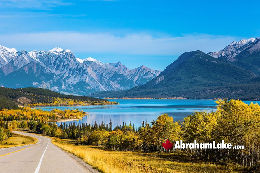 June at Abraham Lake