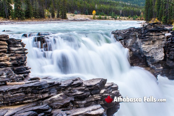 Athabasca Falls in Jasper National Park in June