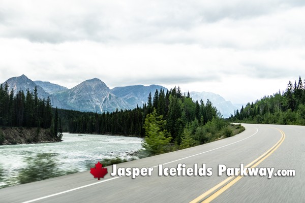 Jasper Icefields Parkway During June