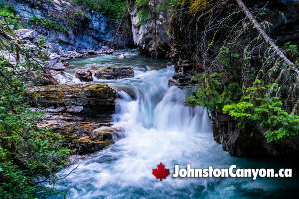 Johnston Canyon During June
