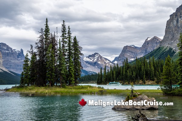 Jasper Maligne Lake Boat Cruise During June