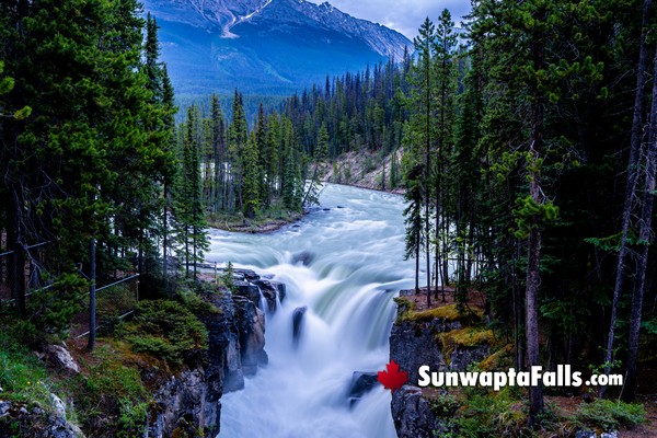 Sunwapta Falls in Jasper National Park in June